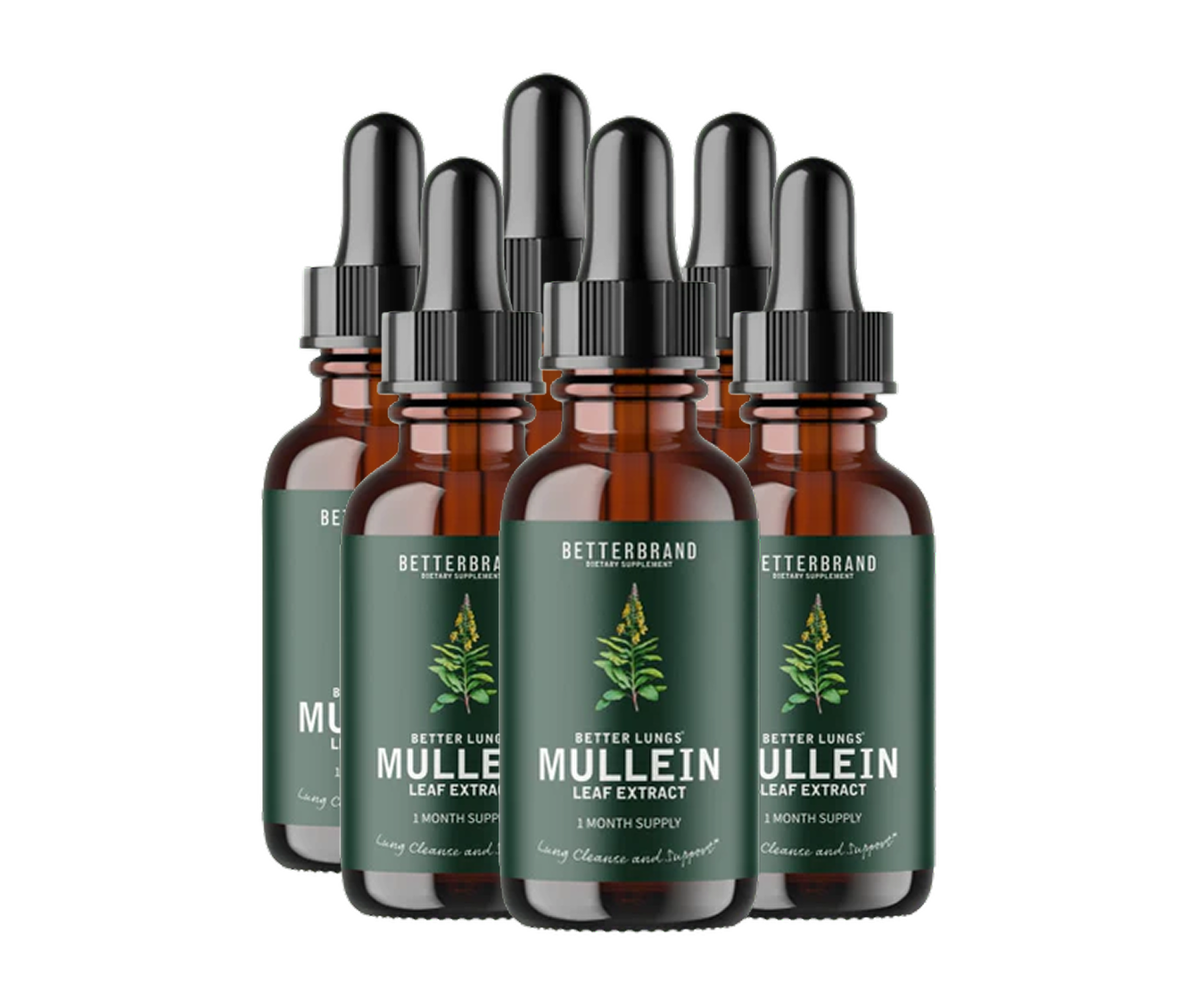 Mullein® Detox Poumons - Respirez plus librement