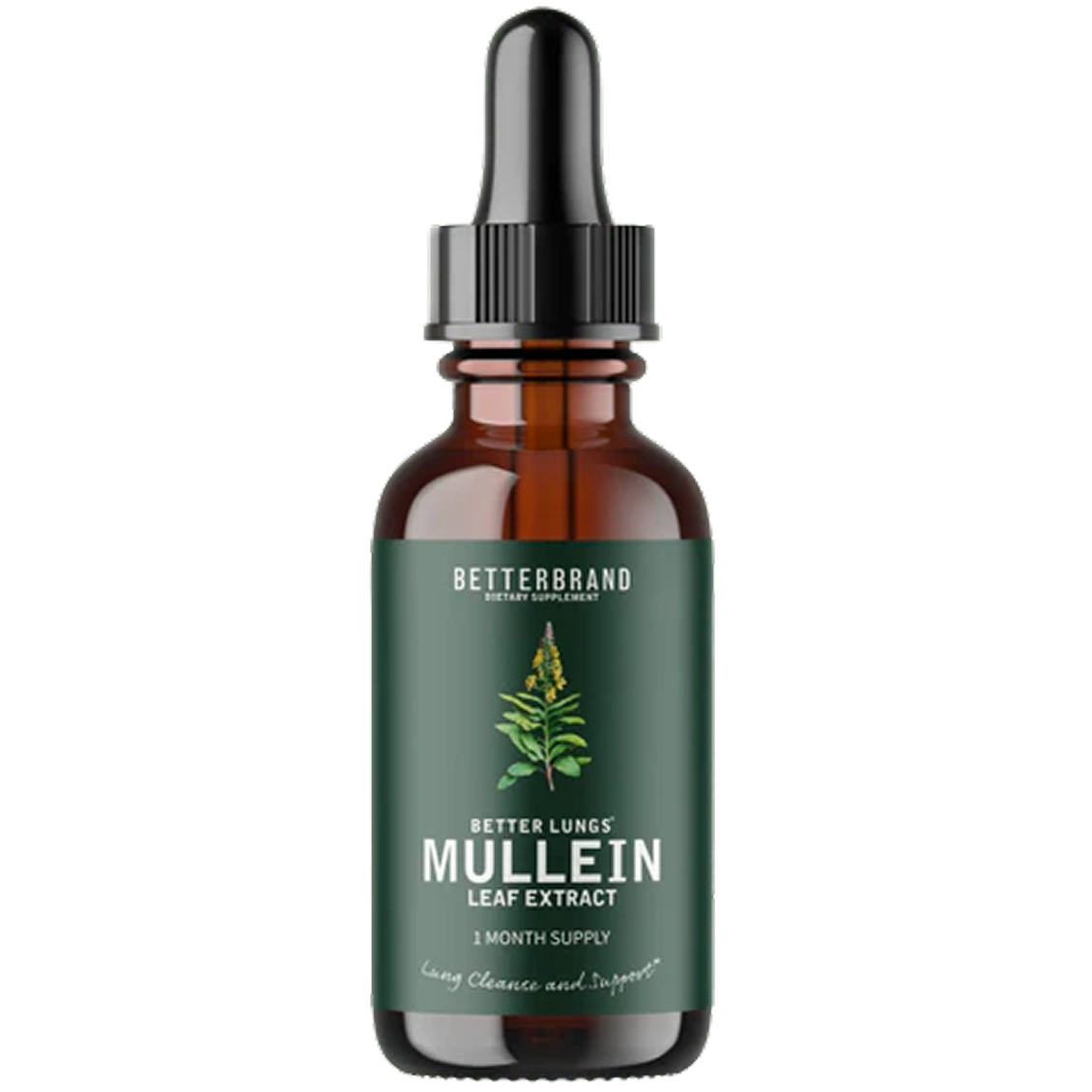 Mullein® Detox Poumons - Respirez plus librement