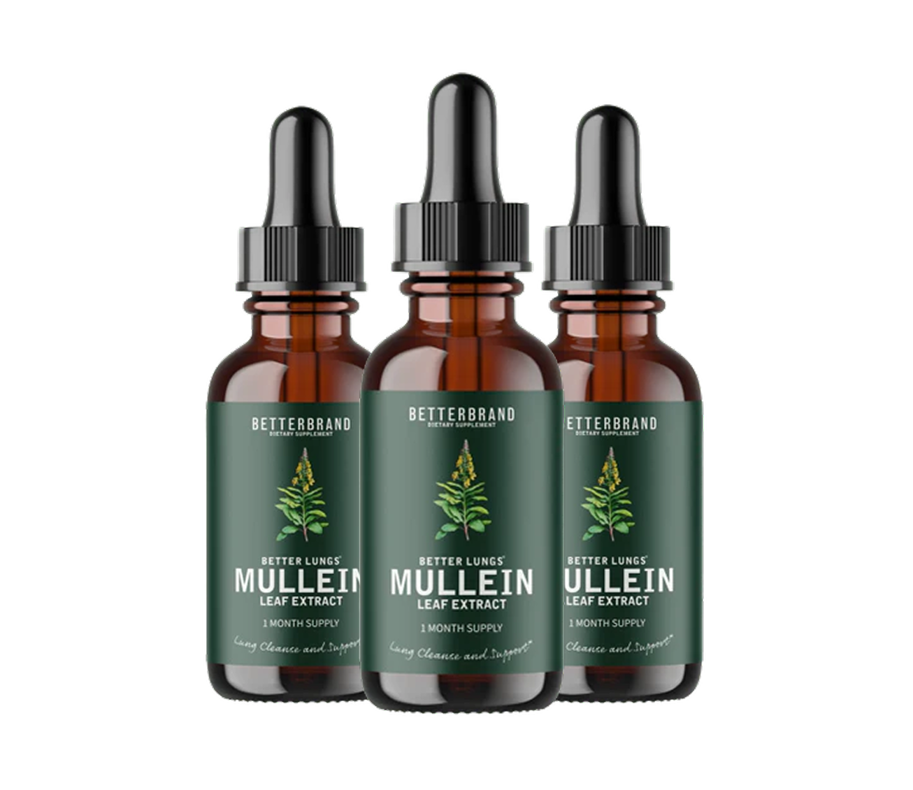 Mullein® Detox Poumons - Respirez plus librement