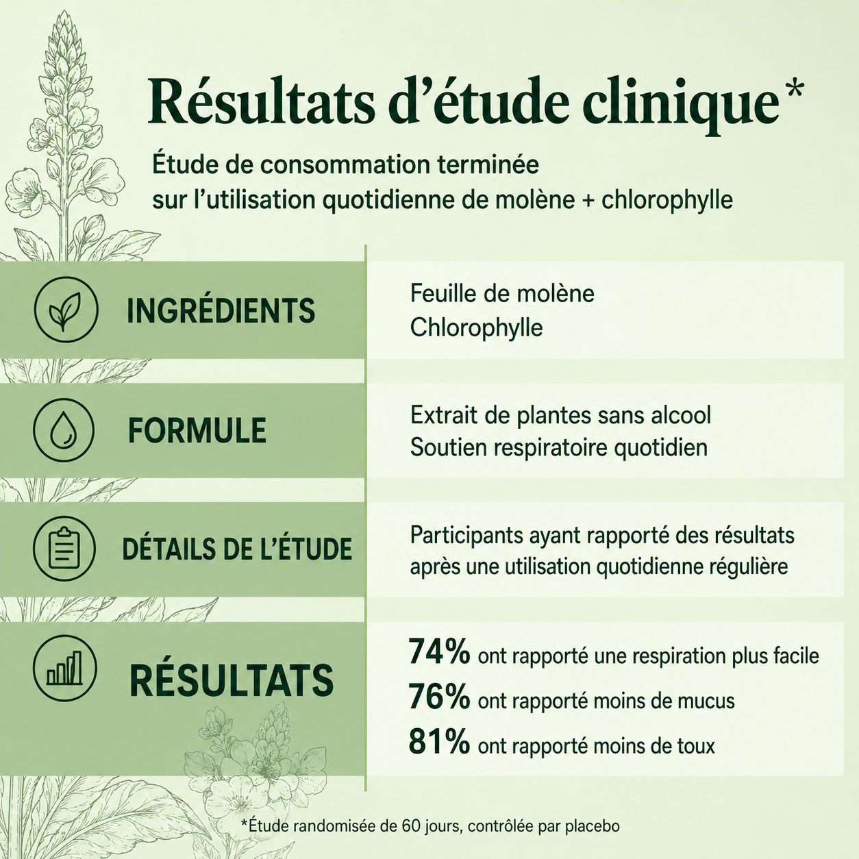 Mullein® Detox Poumons - Respirez plus librement
