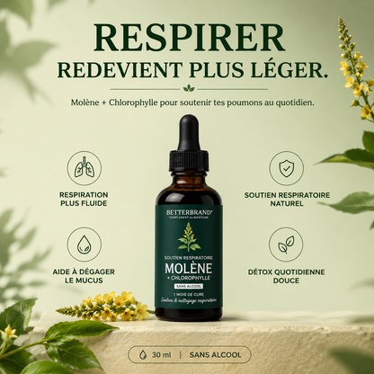 Mullein® Detox Poumons - Respirez plus librement