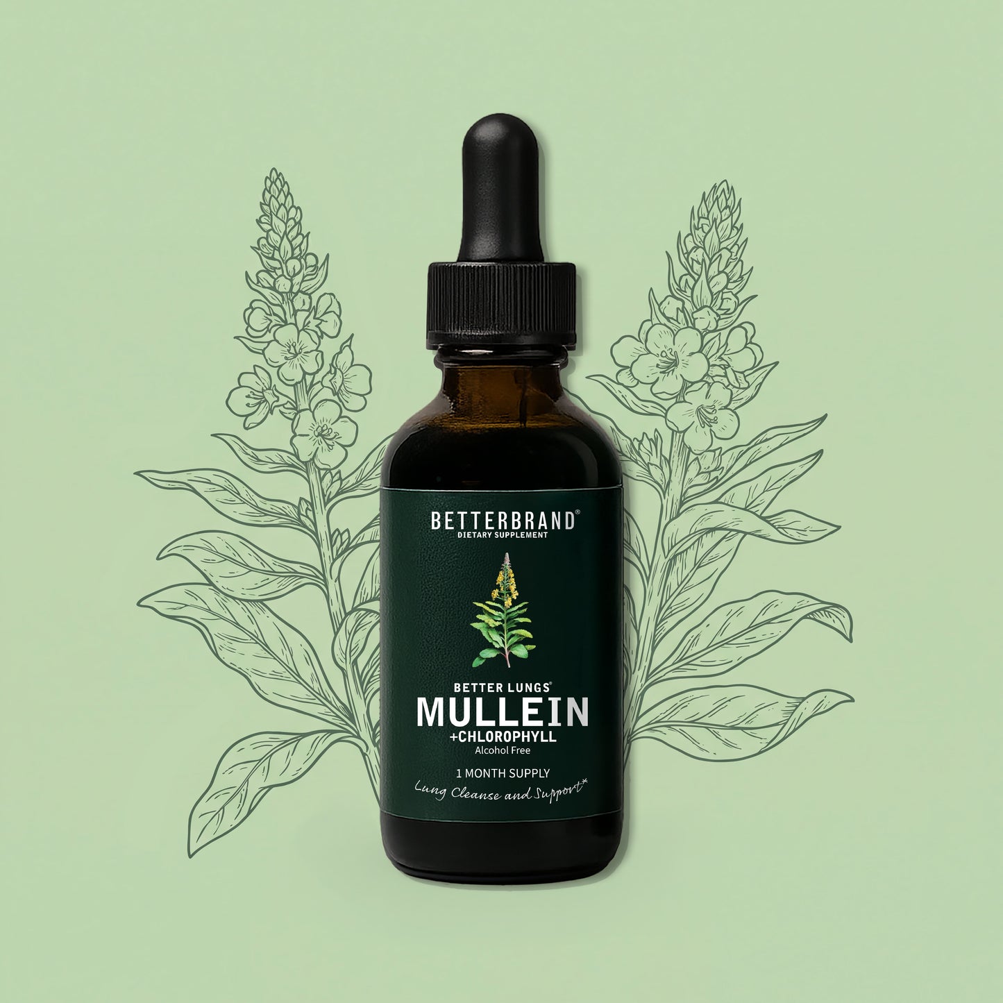 Mullein® Detox Poumons - Respirez plus librement